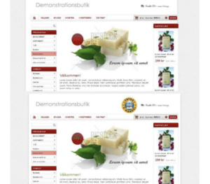 website example